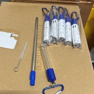 Blue Stainless Steel Reusable Straw - Set of 5